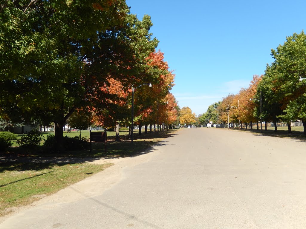 Nice Tree Lined Parkway