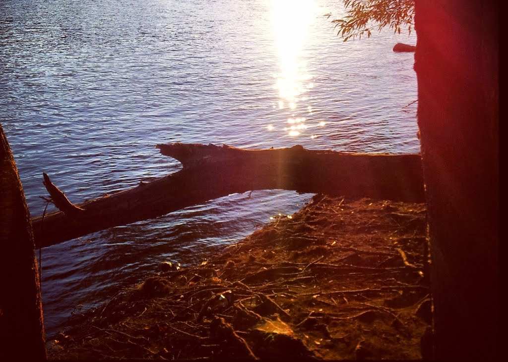 "The River"