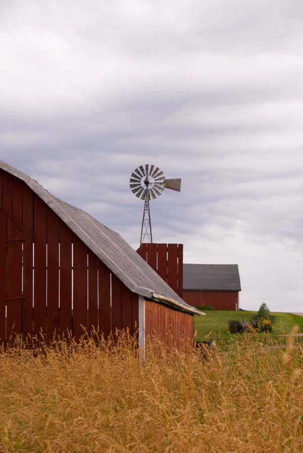 Windmill Study II