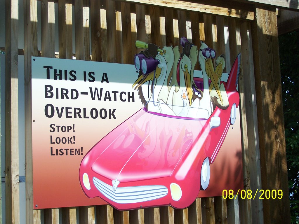 senic overlook