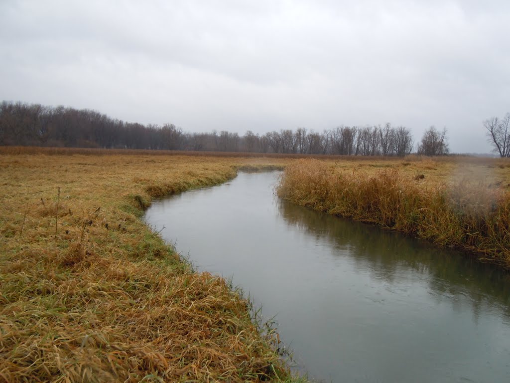 Upper Mississippi River Wetlands