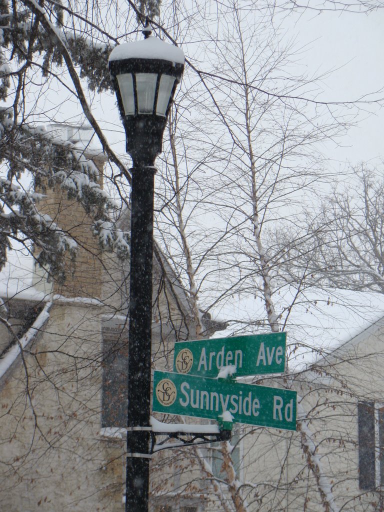 Streetlight during snow