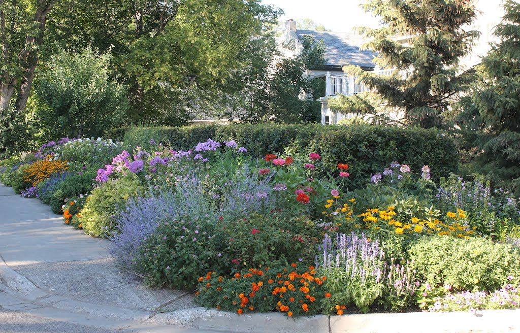 Edina Curbside Garden
