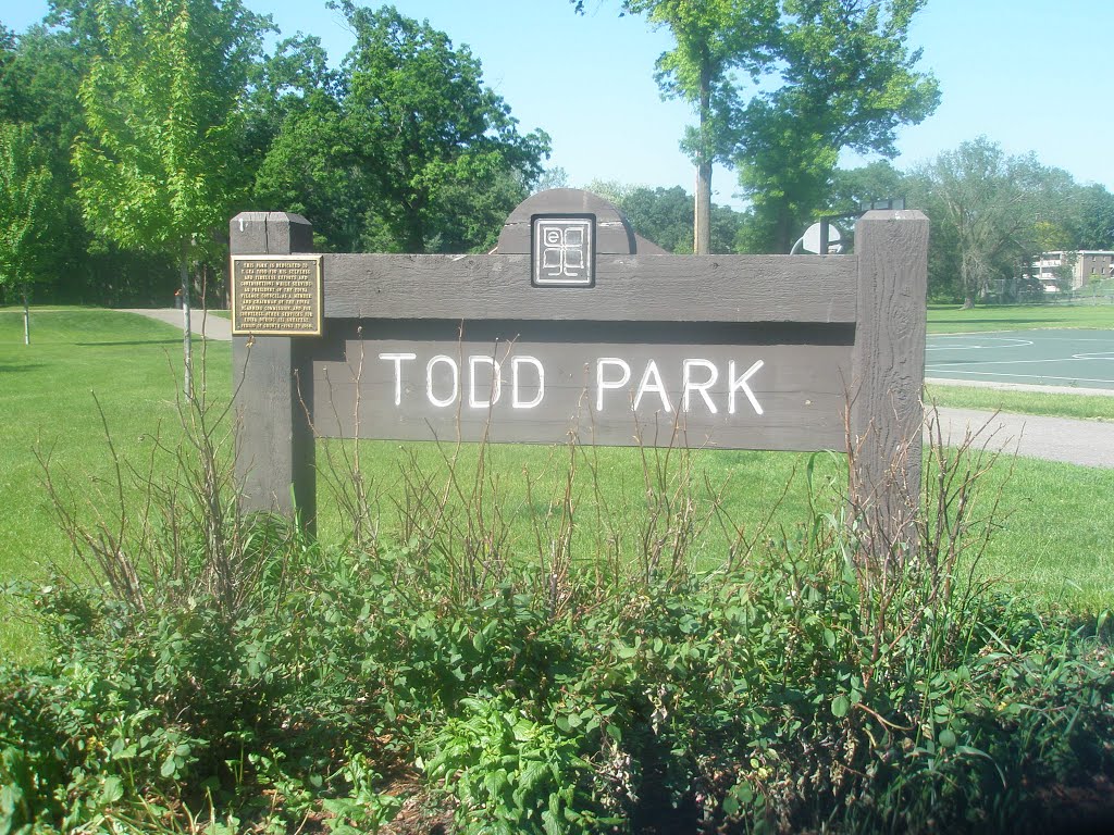 Todd Park