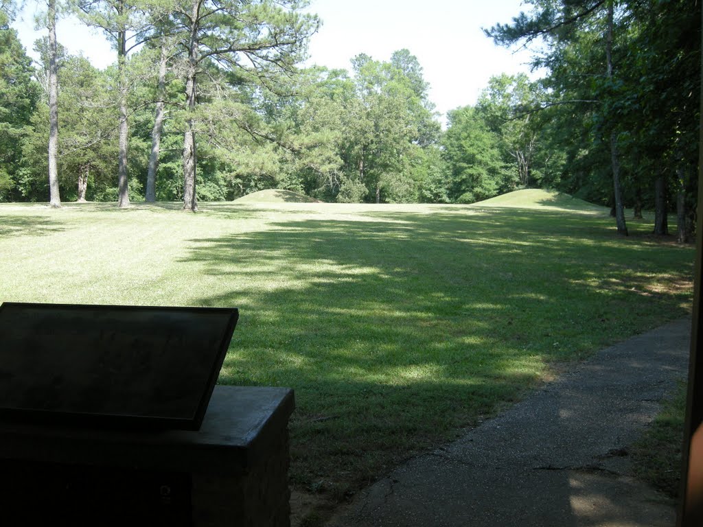 Indian Mounds near the Natchez Trace Pkwy - June 2011