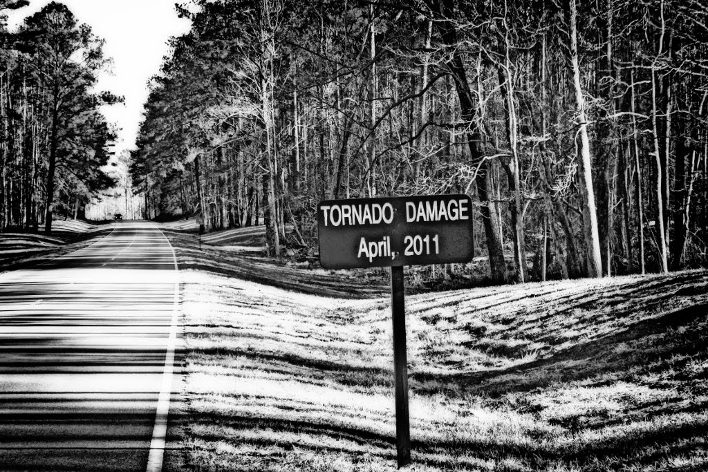 Natchez Trace 4/27/11 Tornado Damage