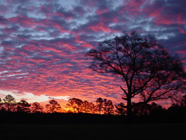 Sunrise in Folsom