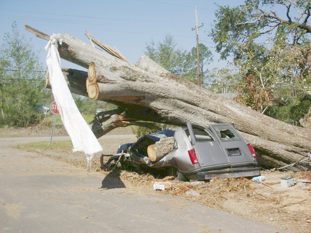 Bogalusa, LA (Crushed Van)