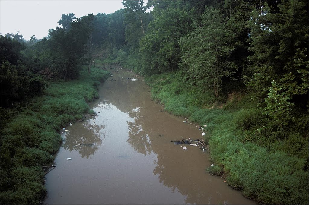 Muddy river - 199507LJW