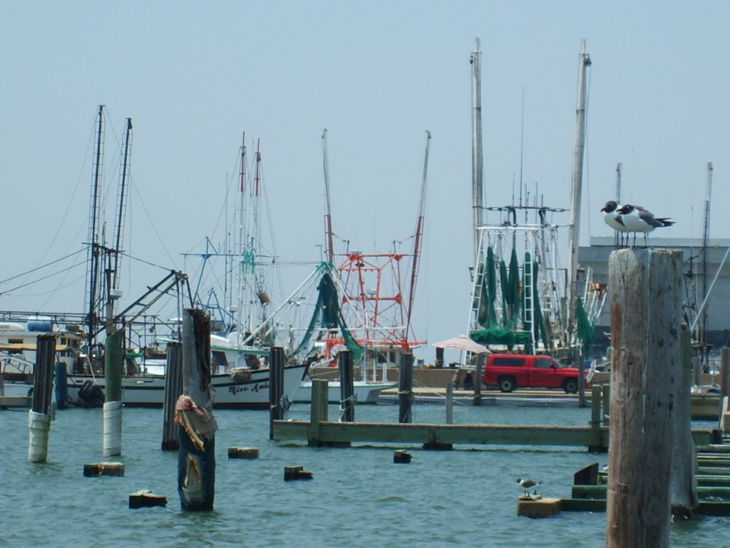 Ocean Springs Harbor