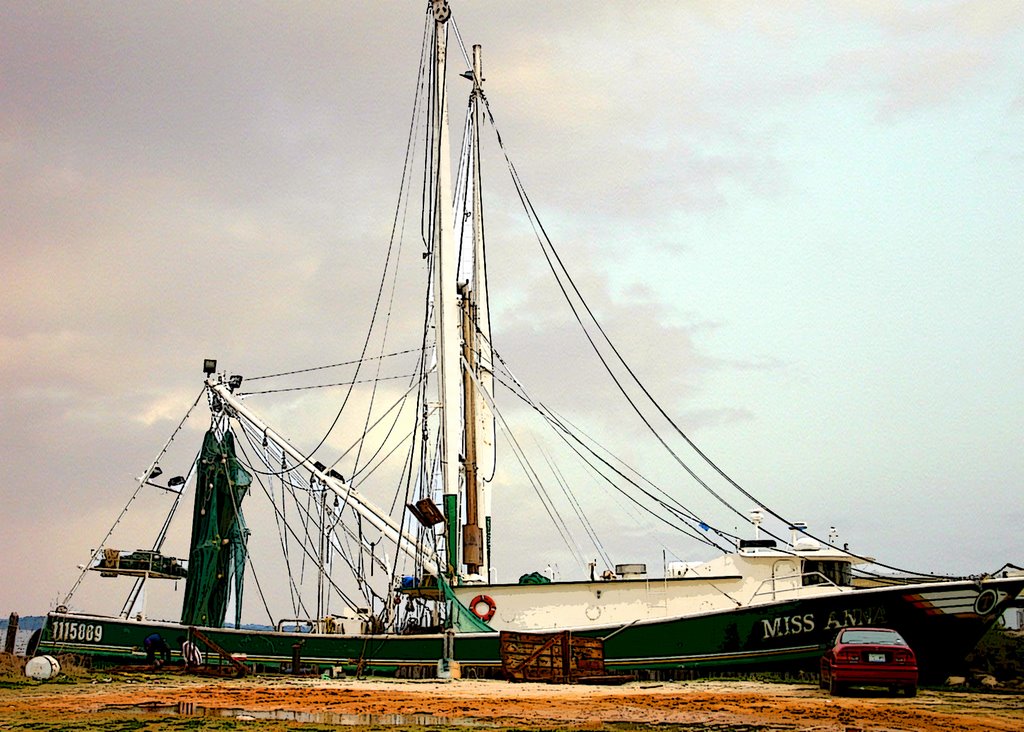 SHRIMP BOATS