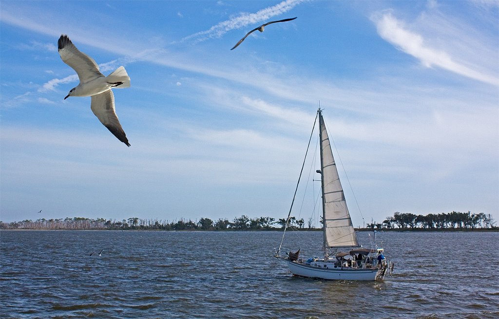 Gulf coast, Biloxi, Mississippi, Nov 2009