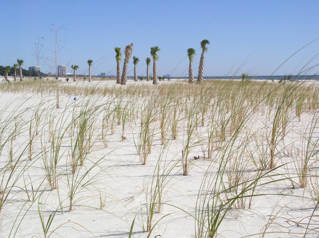 Biloxi Beach, Nov. 7, 2007
