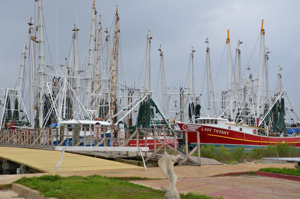 Biloxi Point Division