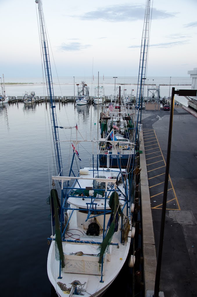 Hard Rock Dock