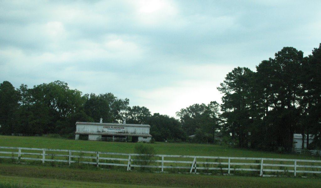 Ceres Plantation