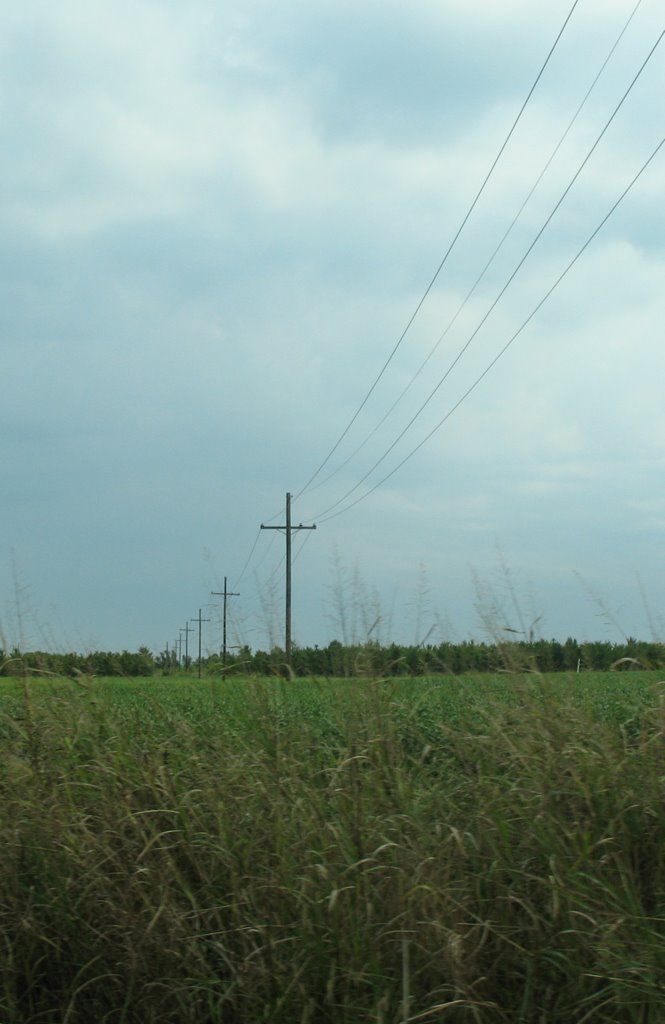 Rural lines in Louisiana