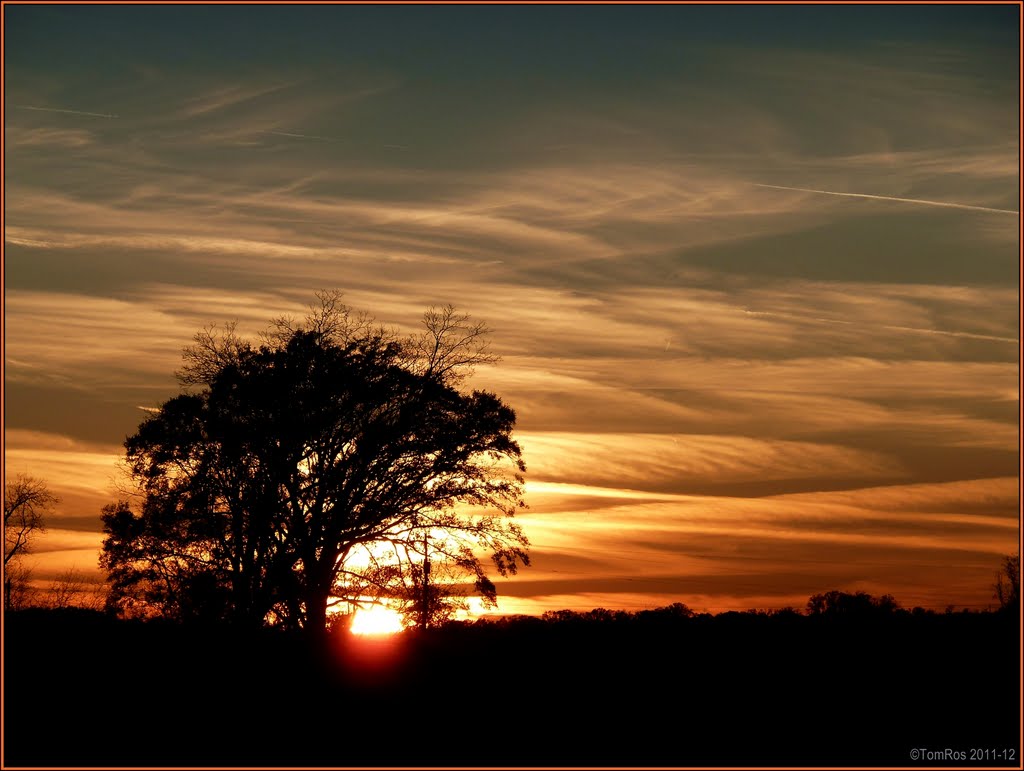 Sunset on Natchez Trace, Mississippi