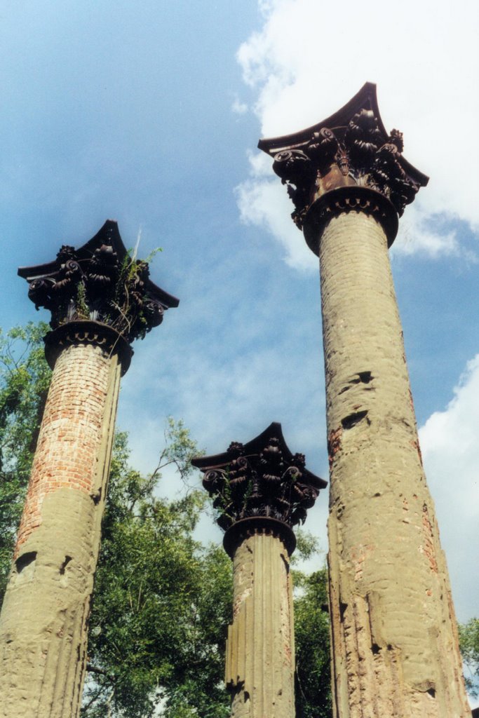 Windsor plantation ruins, near Alcorn Mississippi (8-2000)