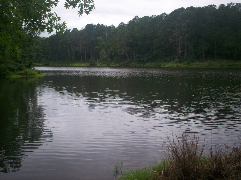 Legion State Park - Lake