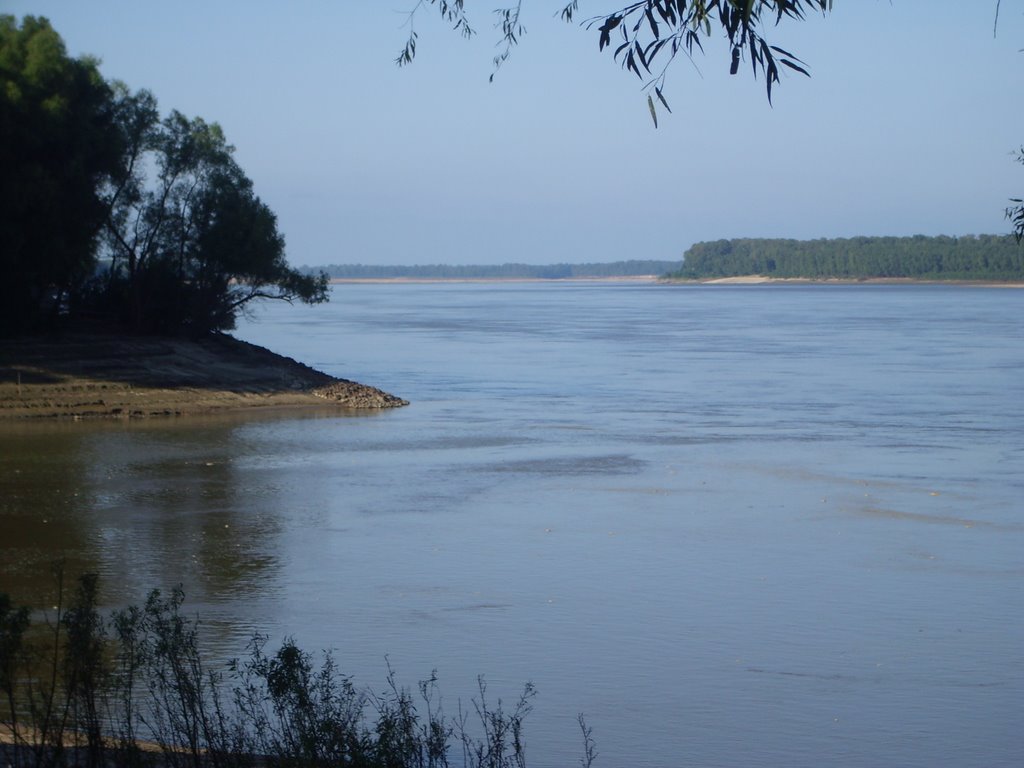 Confluence Of The St. Francis & Mississippi Rivers