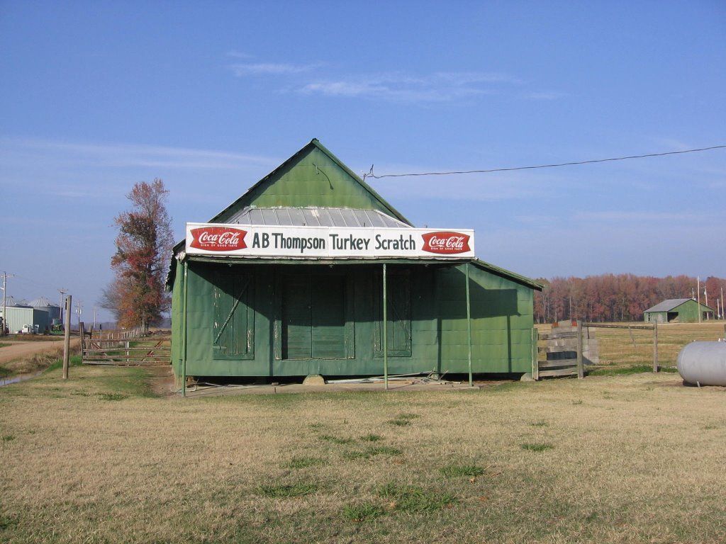 Turkey Scratch Store