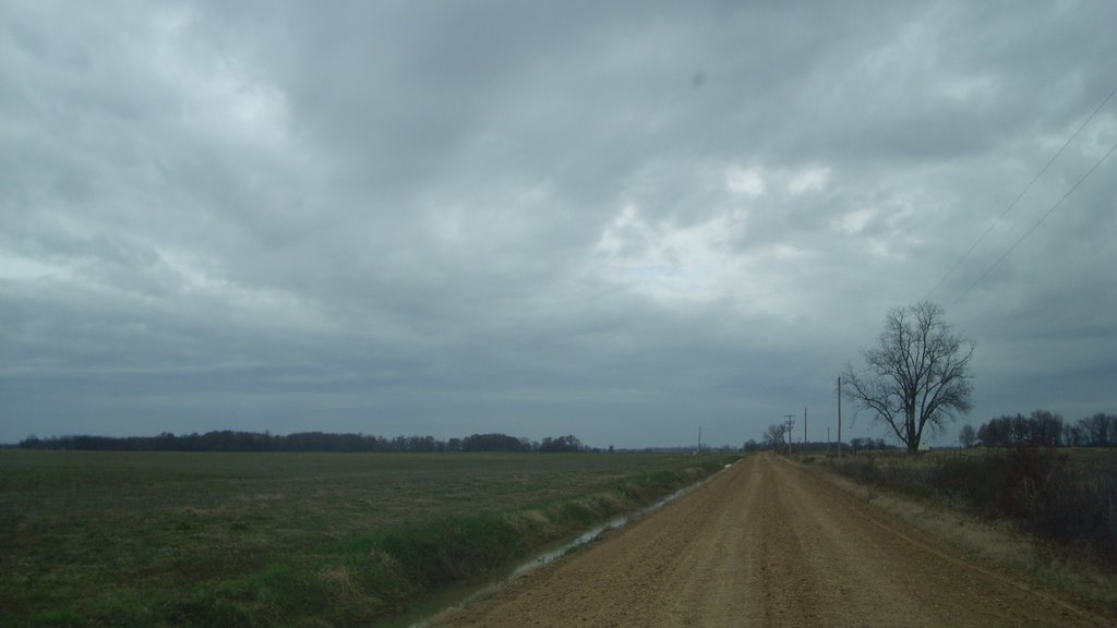 Winter Sky In The Delta