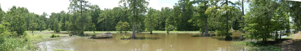 Leroy Percy State Park