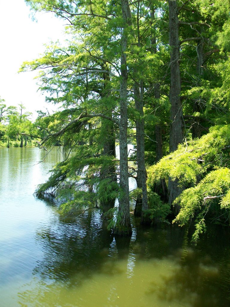 Mackie lake