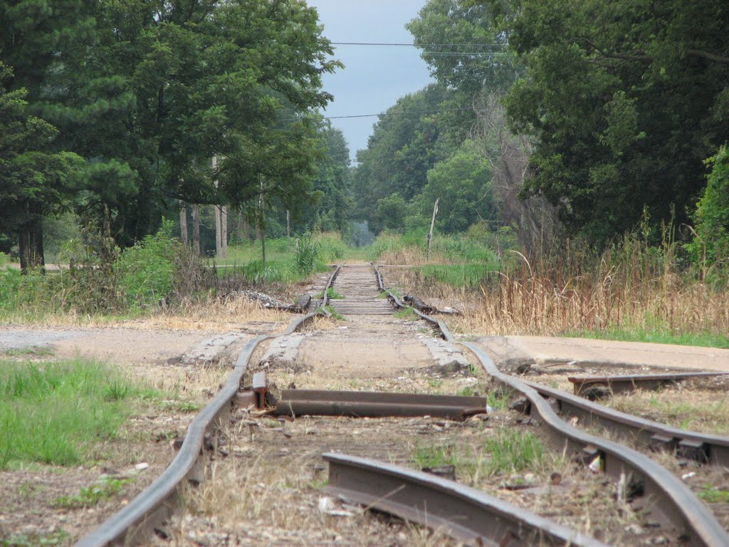 Railroad Tracks in Tutwiler, Mississippi