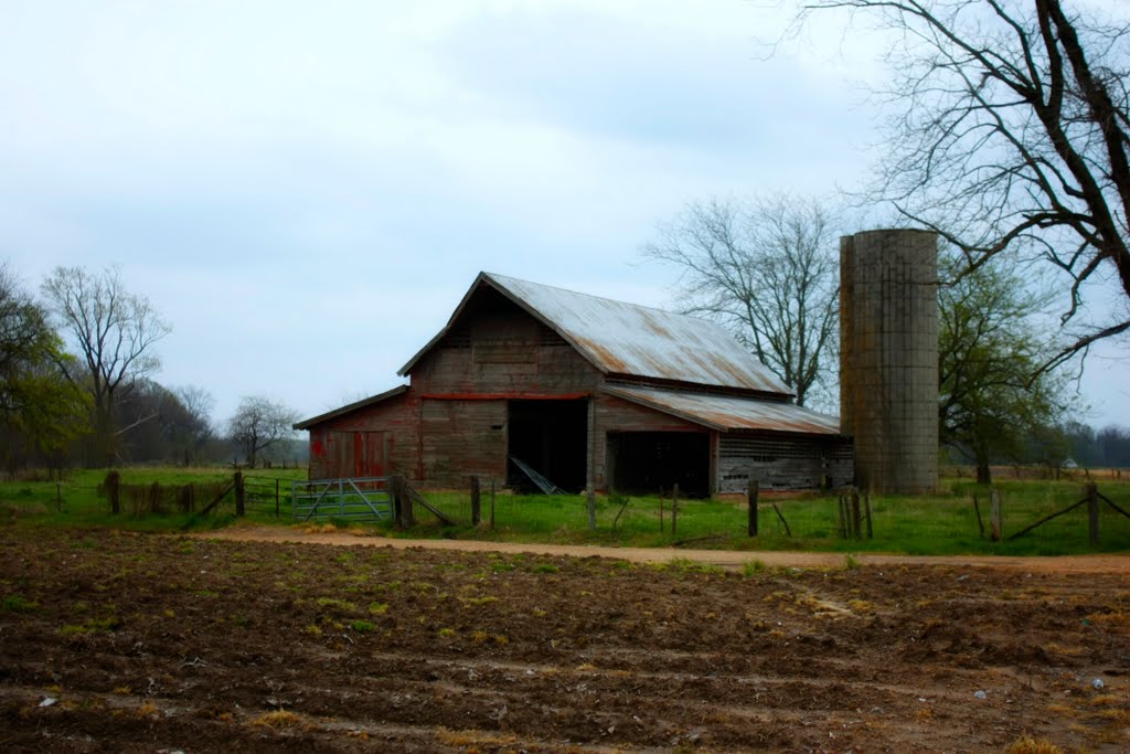 Life Left - Delta Barn & Silo