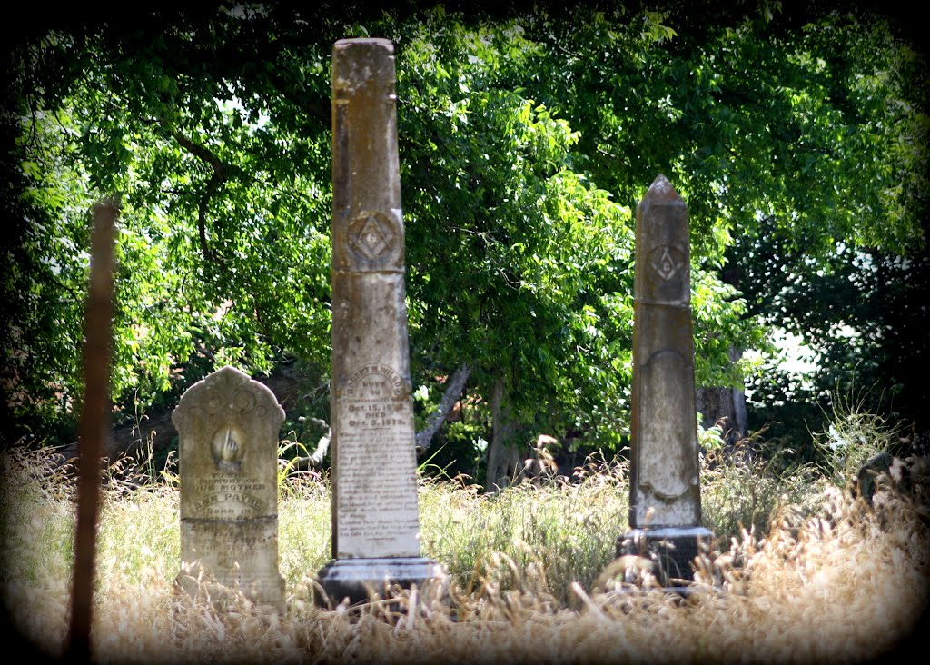 Mississippi Delta