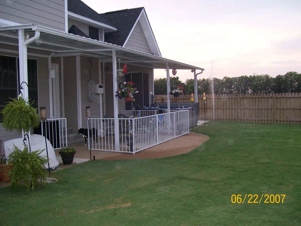 Backyard fun