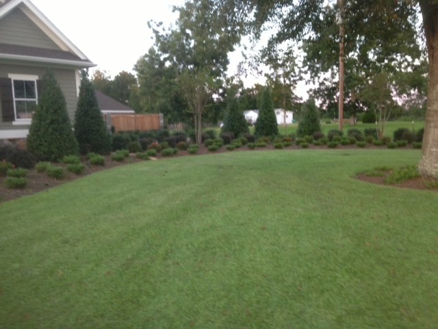 Landscaping Companies Gulfport MS