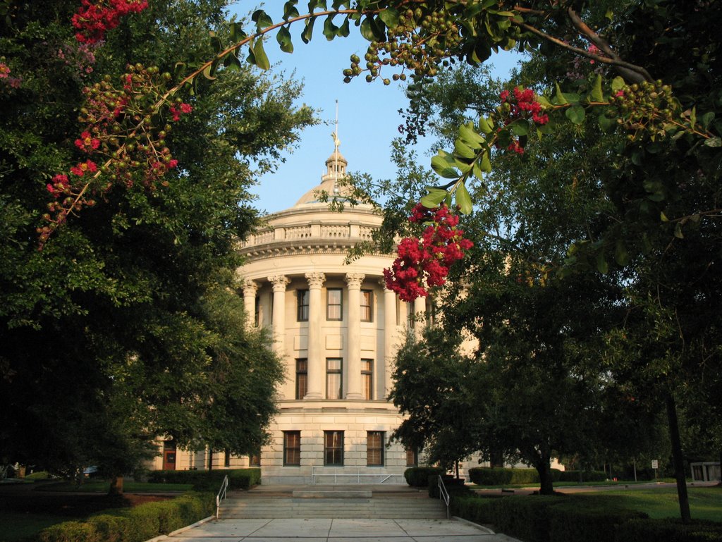 Capitol and flowers