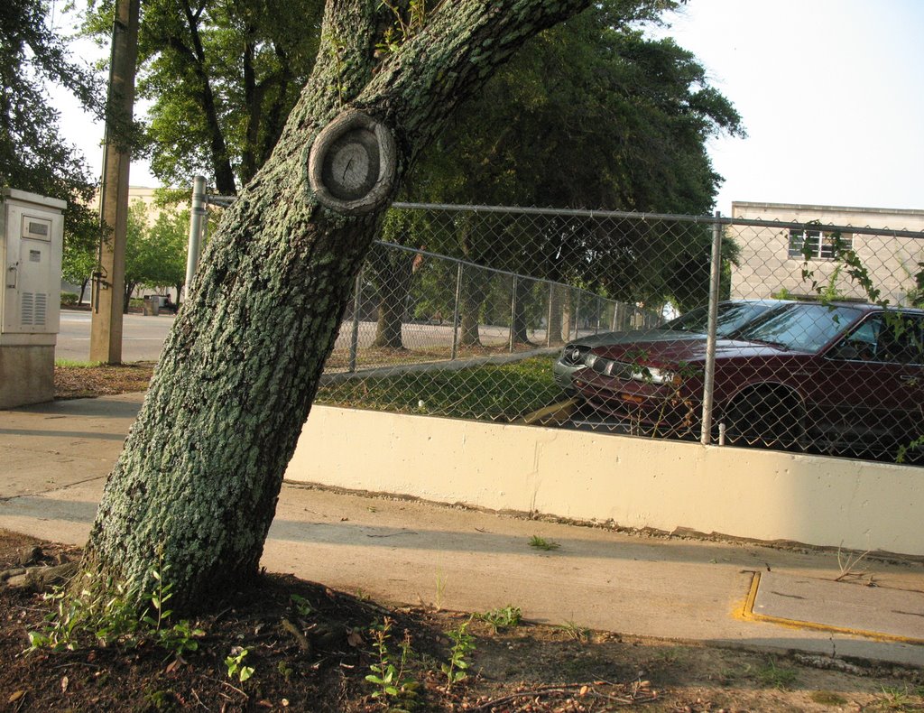 Knot hole at Mississippi and State