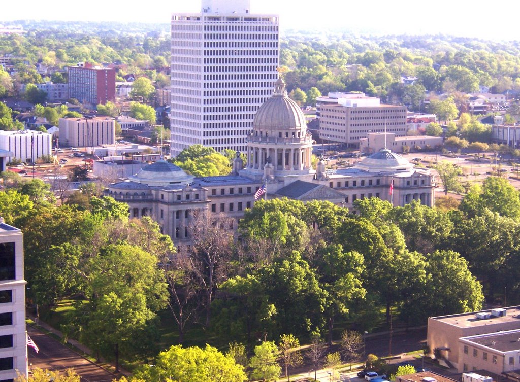 Capitol from Above