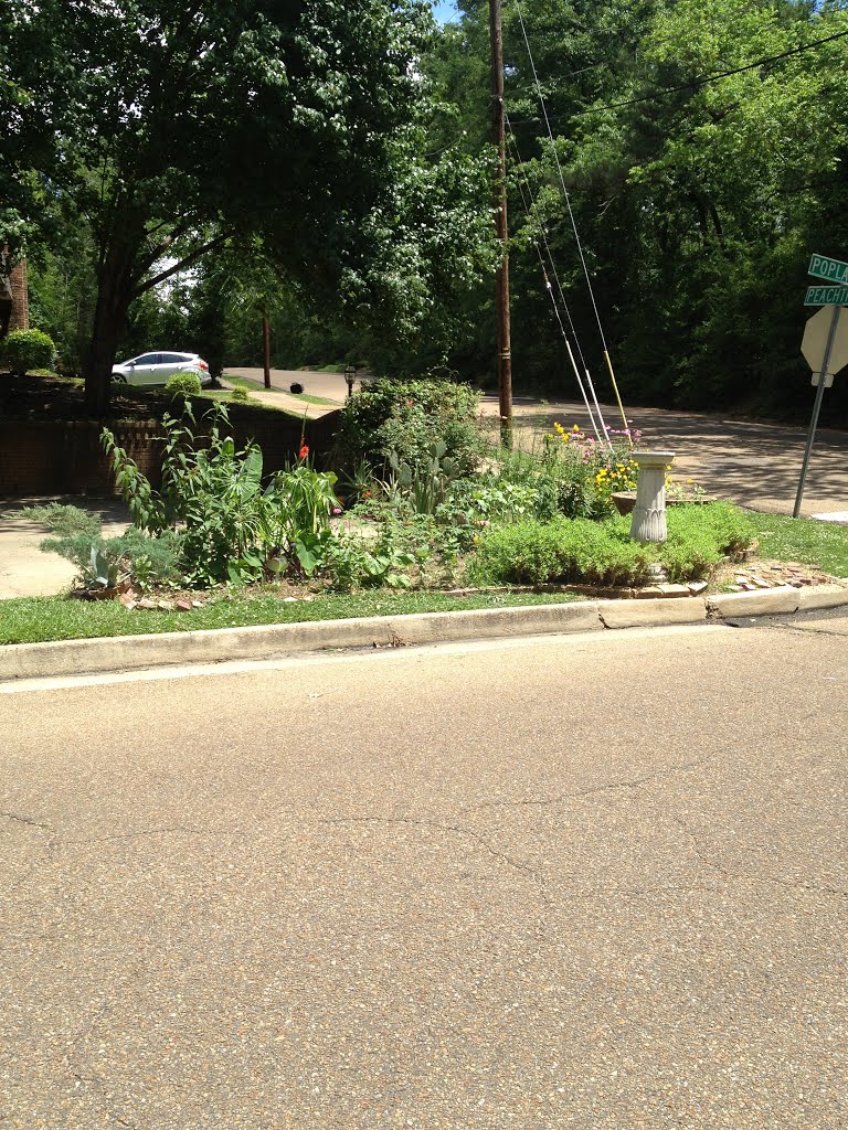 Poplar and Peachtree Corner Garden