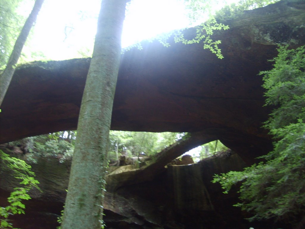 Natural Bridge, Alabama