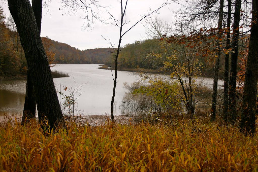 Bear Creek in the Rain