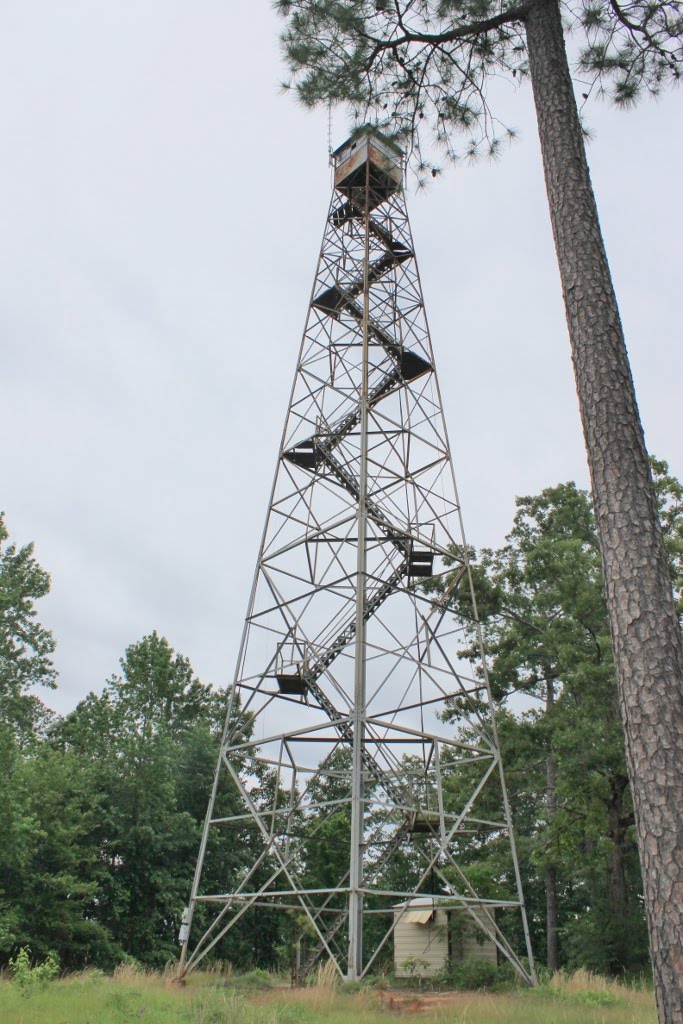 Windam Springs Fire Tower