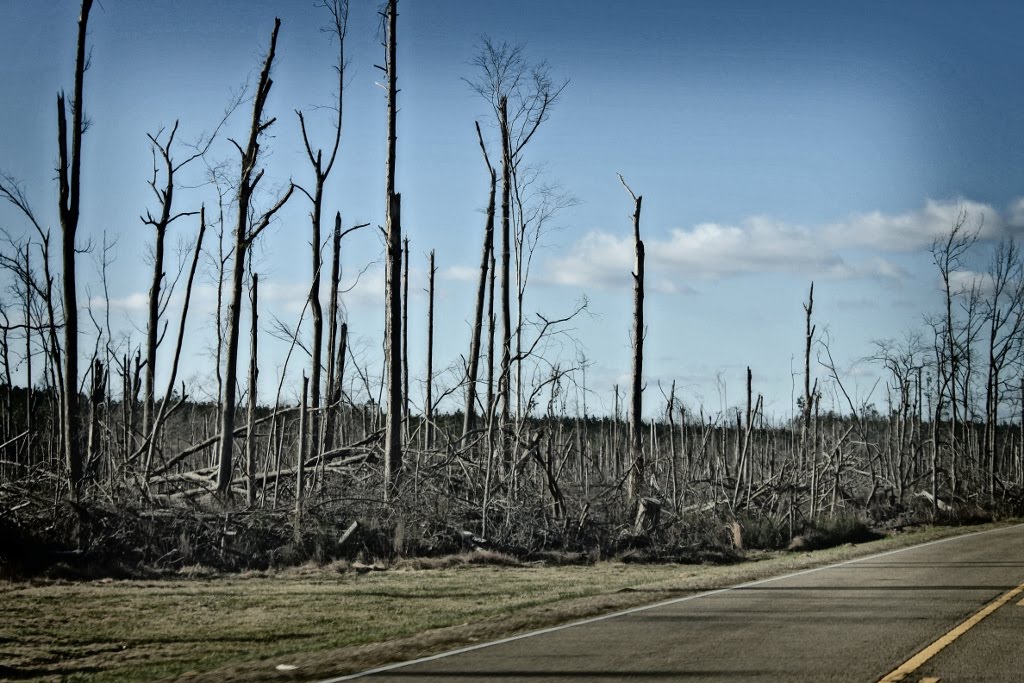 Natchez Trace 4/27/11 Tornado Damage