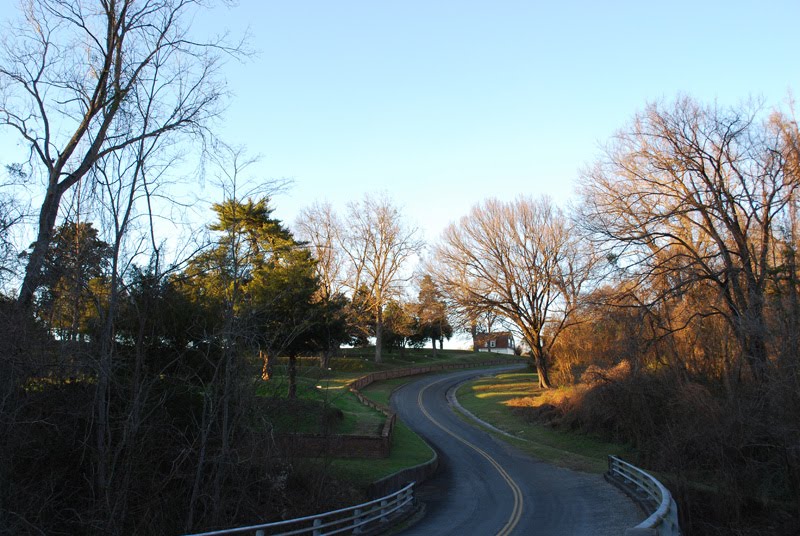 Scenic Drive