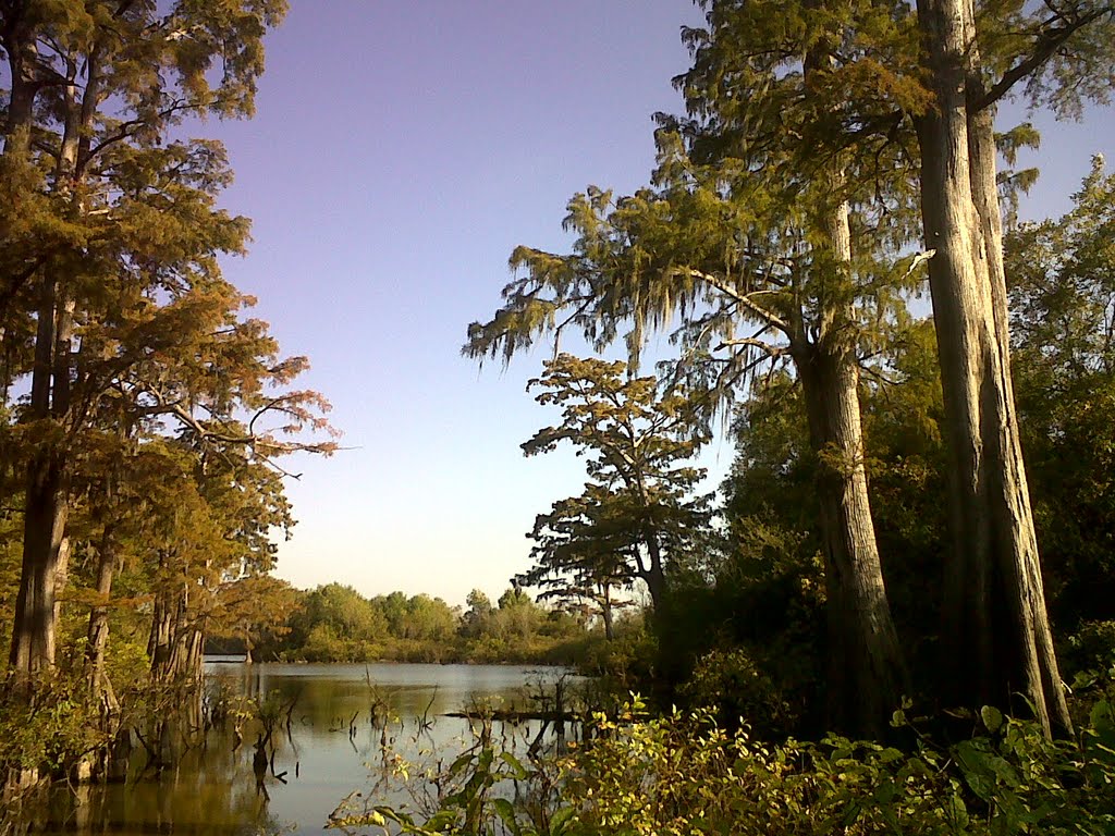 South end of Flat Lake Slough