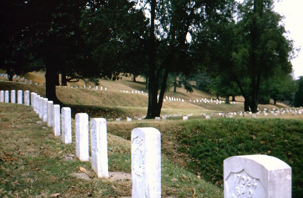 The Price of Freedom