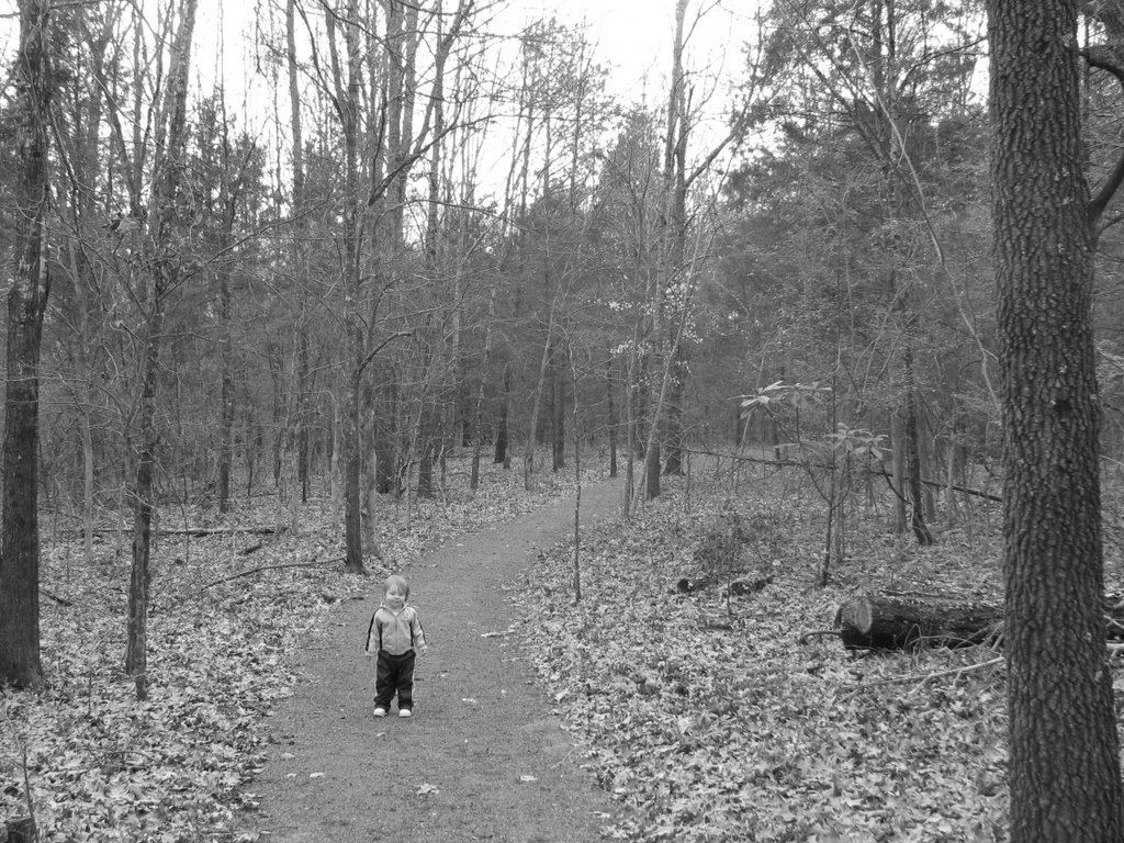 Nature Trail