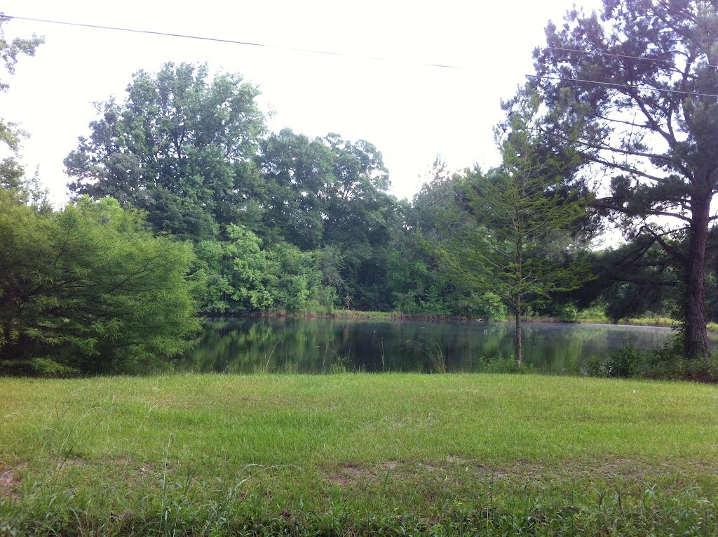Covington County