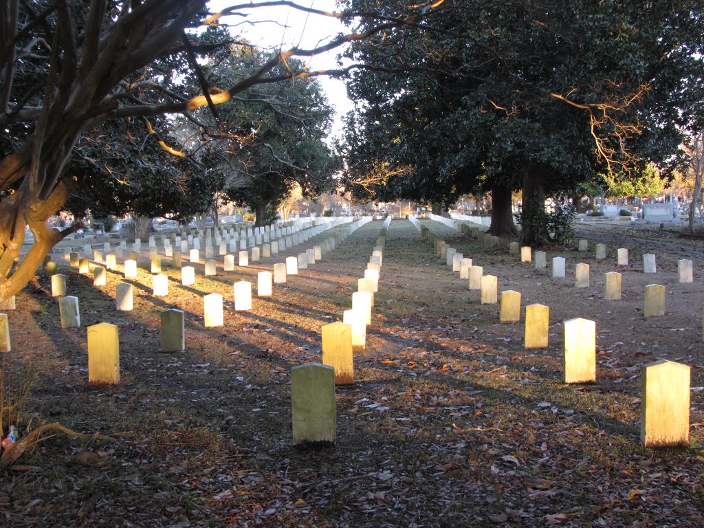 Graves of Confederate soldiers