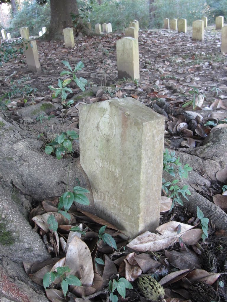 Tombstone becoming part of tree