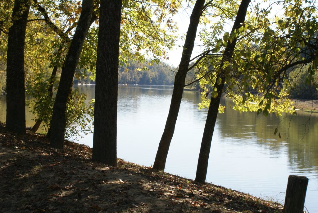 Old Tombigbee River at Columbus